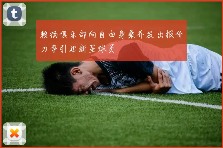 赖扬俱乐部向自由身桑乔发出报价力争引进新星球员