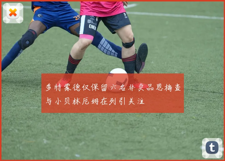 多特蒙德仅保留六名非卖品恩梅查与小贝林厄姆在列引关注