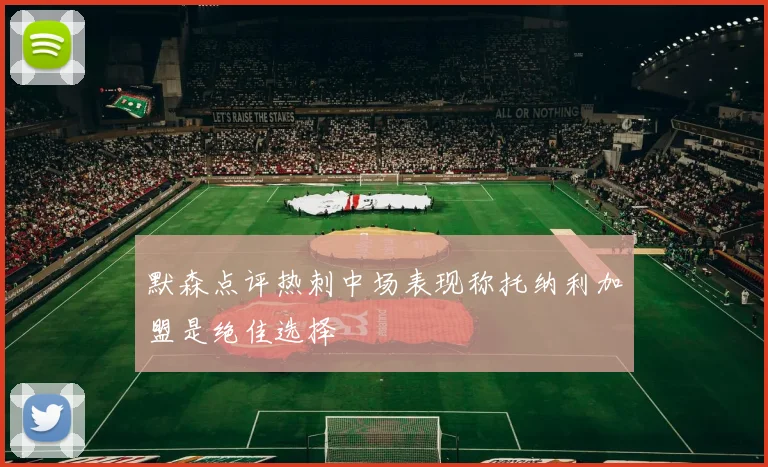 默森点评热刺中场表现称托纳利加盟是绝佳选择
